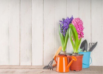 Préparer votre jardin pour le printemps ? Suivez ces 5 étapes ! 