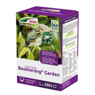 boomerang-insecticide-DCM-concentraat-buxusrups-bestrijden