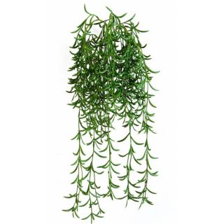 Hangende-Succulente-45-cm-kunststruik