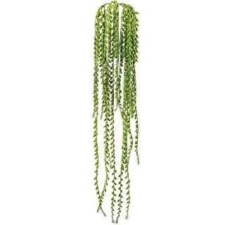 Frans-Senecio-suspendue-ignifugée-85cm-fausse-plante