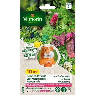 Vilmorin-mélange-de-fleurs-pour-cochon-inde-entretien-du-jardin-graines