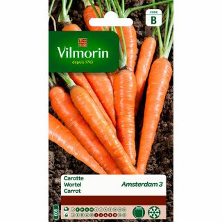Vilmorin-wortel-Amsterdam3