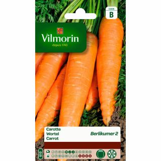 Vilmorin-wortel-berlikumer-wortelzaad-tuinonderhoud