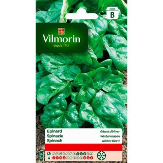 Vilmorin-Spinazie-winterreuzen