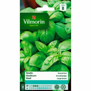 vilmorin-basilic-à-grandes-feuilles-entretien-du-jardin-graines-légumes