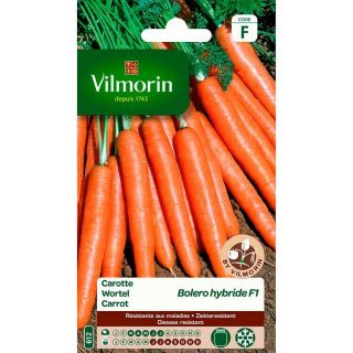 Vilmorin-wortel-Bolero-hybride-F1