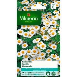 vilmorin-camomille-entretien-du-jardin-graines-de-fleurs