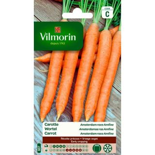 vilmorin-carotte-amsterdam-race-amfine-entretien-du-jardin-graines
