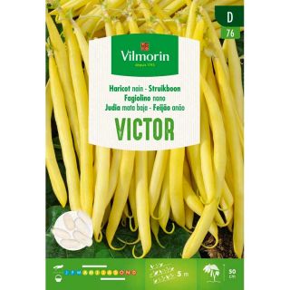 Vilmorin-Struikboon-boterboon-victor