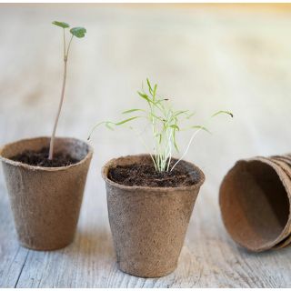 Pots-Semis-Biodégradables-Rond-6-cm-96-pièces-Fibres-de-Bois-Naturel