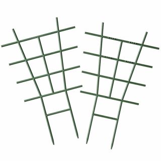 Tuteur-Échelle-Plantes-d'Intérieurs-Nature-28-x-17-cm