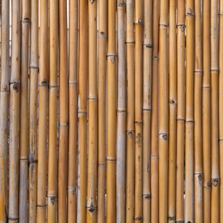 Bamboerolscherm-laag-1x1,80m-tuin