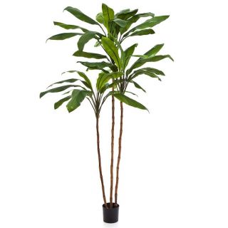 Cordyline-Fruticosa-Kunstplant-verschillende-afmetingen