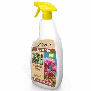 meeldauw-op-rozen-natuurlijk-bestrijden-edialux-fungecol-spray-sierplanten