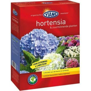 hortensia-viano-meststof