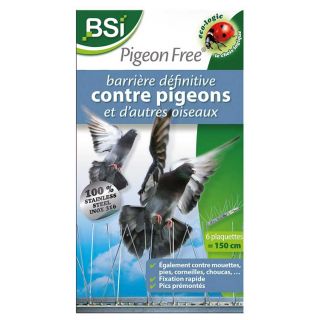 Pics-anti-pigeon-pigeon-free-BSI