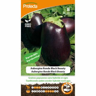 aubergine-zaad-ronde-black-beauty-aubergine-kweken-moestuin-reproduceerbaar-boerenzaden-groentezaad-protecta-ecostyle