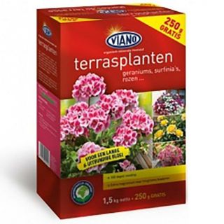 terrasplanten-geranium