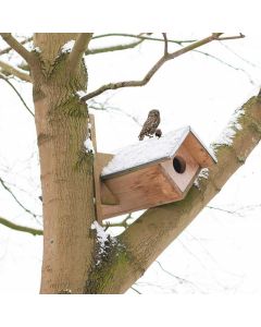 Steenuilkast-buiten-tuin-boom-vogel-winter
