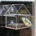 Mangeoire-fenêtre-nourrir-oiseau-hiver-jardin