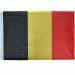 Belgische-vlag-groot-rode-duivels