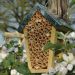 insectenhotel-bijen-natuur-boom-nest-bijenhuis